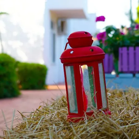 شقة فندقية Irem Garden &
